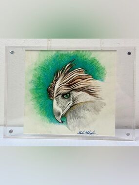 The Philippine Eagle - Signed Bird Art